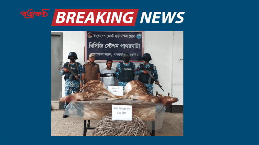 কোস্টগার্ডের অভিযানে জবাইকৃত হরিণ ও ফাঁদসহ শিকারি আটক