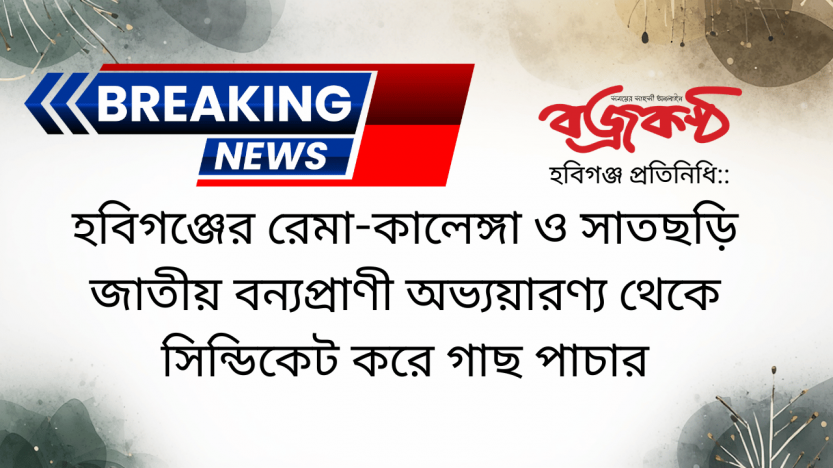 হবিগঞ্জের রেমা-কালেঙ্গা ও সাতছড়ি জাতীয় বন্যপ্রাণী অভ্যয়ারণ্য থেকে সিন্ডিকেট করে গাছ পাচার