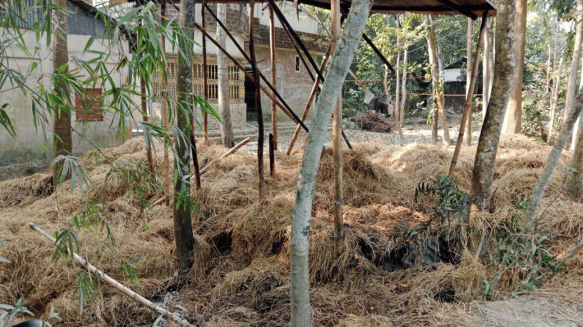 সুনামগঞ্জের তাজপুরে পূর্ব শত্রুতার জেরে খড়ের ঘরে আগুন