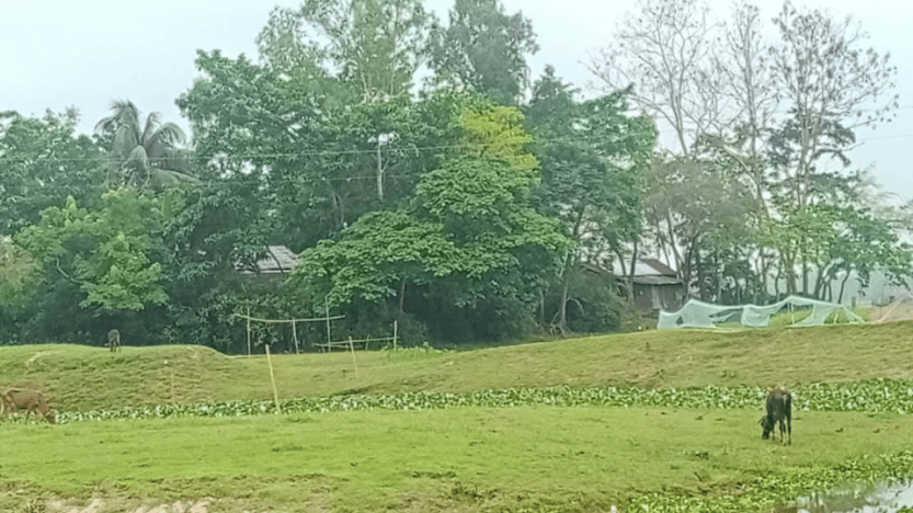 নবীগঞ্জের বহরমপুরে সরকারি কোটি টাকা মূল্যের ভূমি ভূমিদস্যুদের কবলে৷  ভূমিদস্যুদের বিরুদ্ধে প্রয়োজনীয় ব্যবস্থা গ্রহন করা হবে-ইউ,এনও