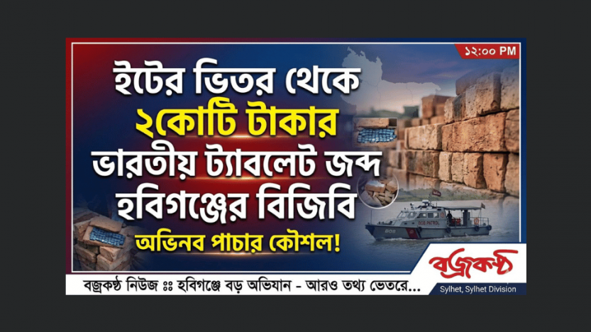 হবিগঞ্জে বিজিবি’র বড় অভিযান: ইটের ভেতর থেকে ২ কোটি টাকার ভারতীয় ট্যাবলেট জব্দ
