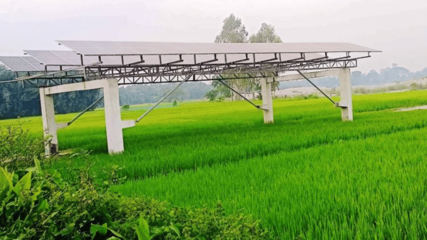 দেশজুড়ে তেল সংকটের মধ্যে সূর্যের আলোয় কৃষকের মুখে হাসি