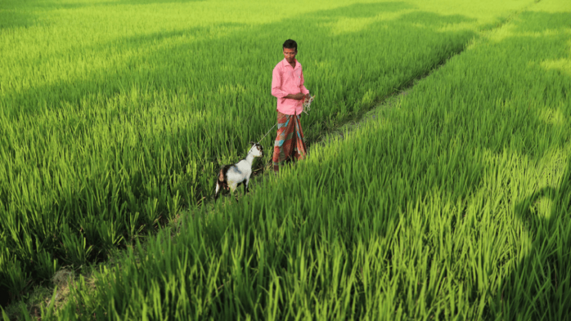 কৃষি ও সামাজিক কার্যক্রমে ব্র্যাকের নিজস্ব তহবিল  থেকে ৫৩ কোটি টাকার বিশেষ কর্মসূচি ঘোষণা কৃষিখাতে ব্র্যাক মাইক্রোফাইন্যান্সের বরাদ্দ ৩২ কোটি ৮৫ লাখ টাকা