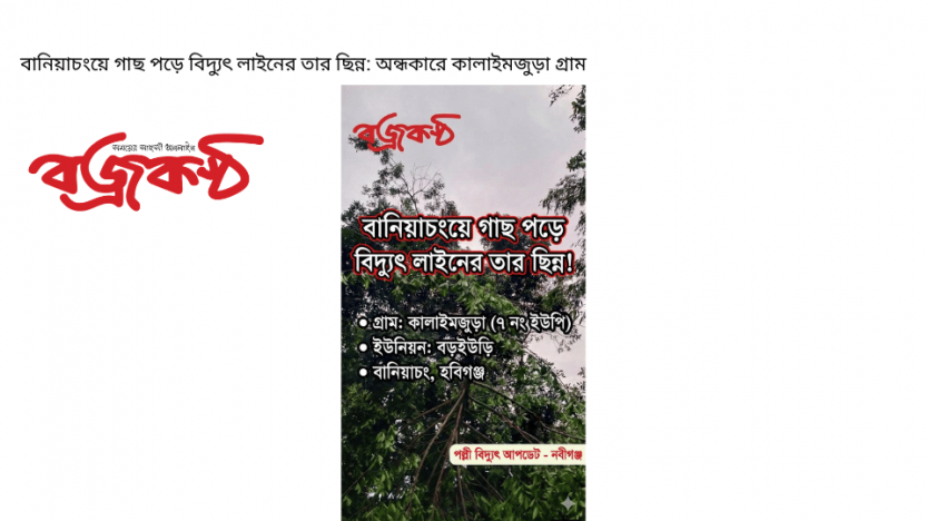 বানিয়াচংয়ে গাছ পড়ে বিদ্যুৎ লাইনের তার ছিন্ন: অন্ধকারে কালাইমজুড়া গ্রাম