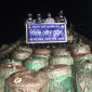 ভোলায় ৪২০০ লিটার জ্বালানি তেল জব্দ করেছে কোস্টগার্ড