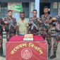 কুষ্টিয়া  সীমান্তে বিজিবির অভিযানে ভারতীয় গাঁজাসহ ১ জনকে আটক