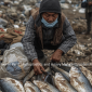 Sutang River in Peril: Microplastics and Heavy Metals Threaten Food Chain