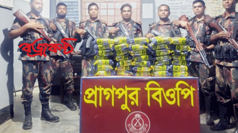দৌলতপুর সীমান্তে বিজিবি’র পৃথক অভিযানে বিপুল পরিমাণ ভারতীয় অবৈধ পণ্য ও মাদকদ্রব্য উদ্ধার